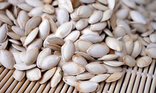 吃瓜萎籽放屁,揭秘生活中的趣味现象