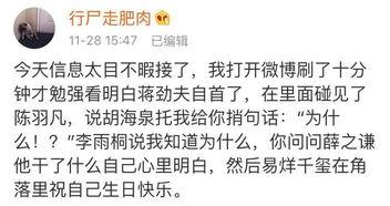 每日吃瓜指南,揭秘娱乐圈新鲜事，轻松掌握热点动态