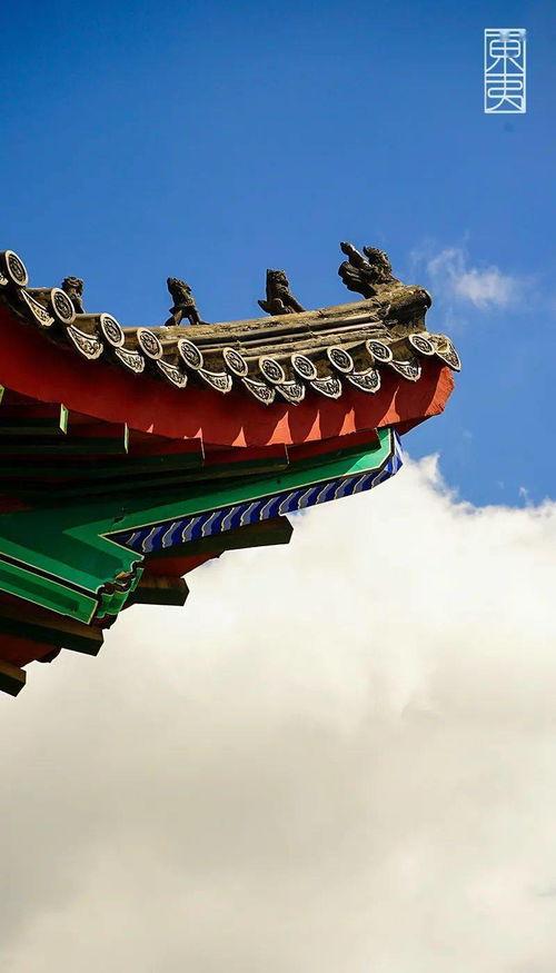 东夷小镇吃瓜大赛,吃瓜大赛欢乐盛启