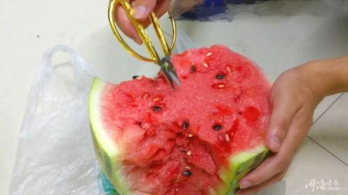 吃瓜剪刀,吃瓜剪刀背后的真相与内幕
