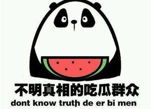 吃瓜群qq免费,免费畅享娱乐盛宴的神秘世界