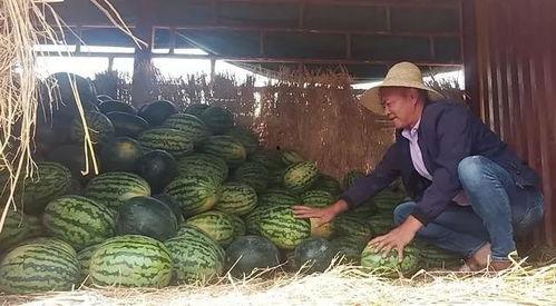 昆明炸裂吃瓜,一场全民狂欢的美食盛宴