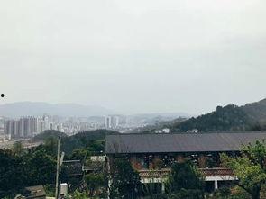 湄潭吃瓜爆料,揭秘当地热点事件背后的真相