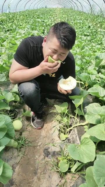 阎良吃瓜,一场别开生面的吃瓜盛宴