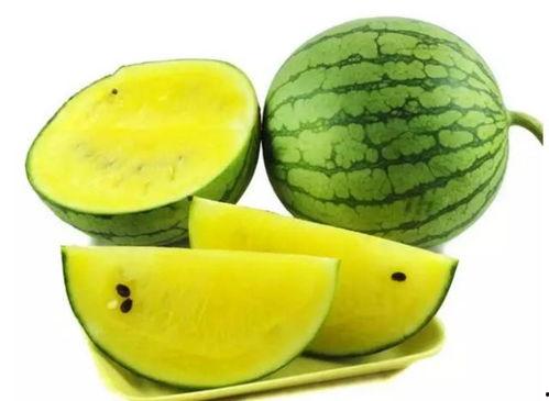 小黄法务吃瓜coco,揭秘法务界的趣味故事