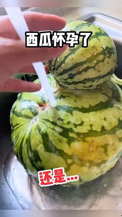 搞笑吃瓜贴,笑料百出！搞笑吃瓜贴大盘点