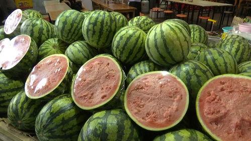 吃瓜的西瓜好吃