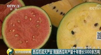世界吃瓜群众视频