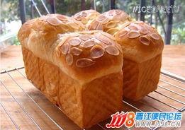 晋江论坛吃瓜